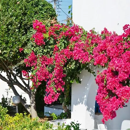 Hotel Dilino