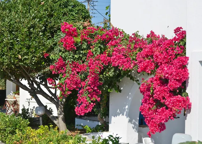 Dilino Agios Prokopios (Naxos)
