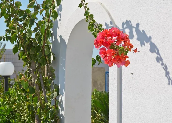 Dilino Hotel Agios Prokopios (Naxos)